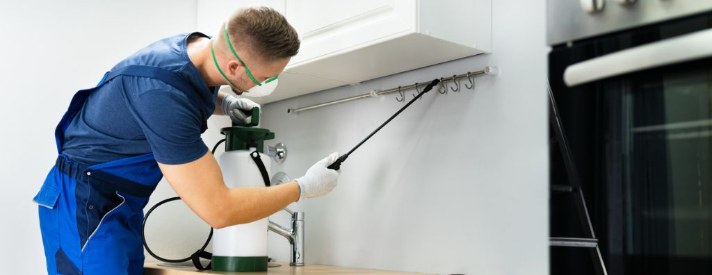 Kiểm soát côn trùng